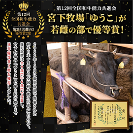 各種取り扱い商品